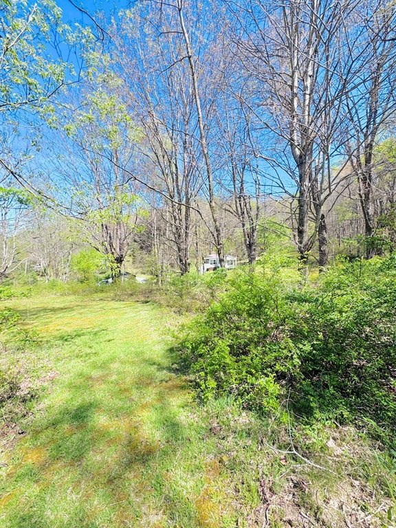 Picture 12