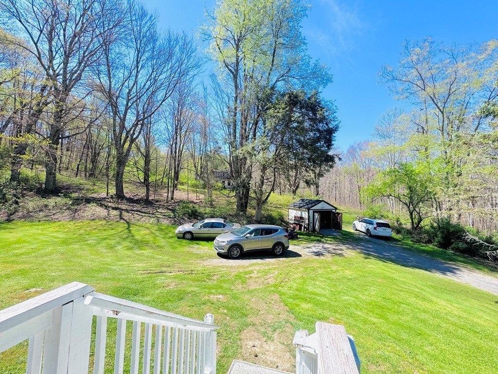 Picture 25