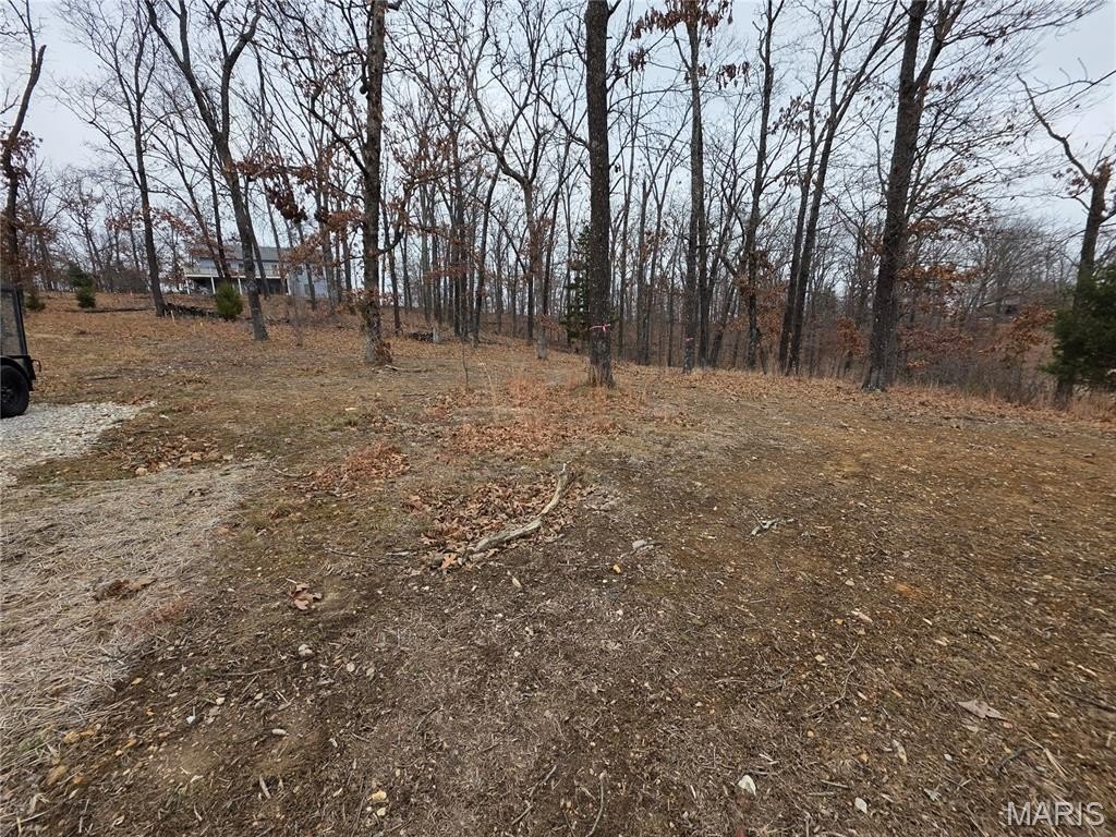 Picture 15