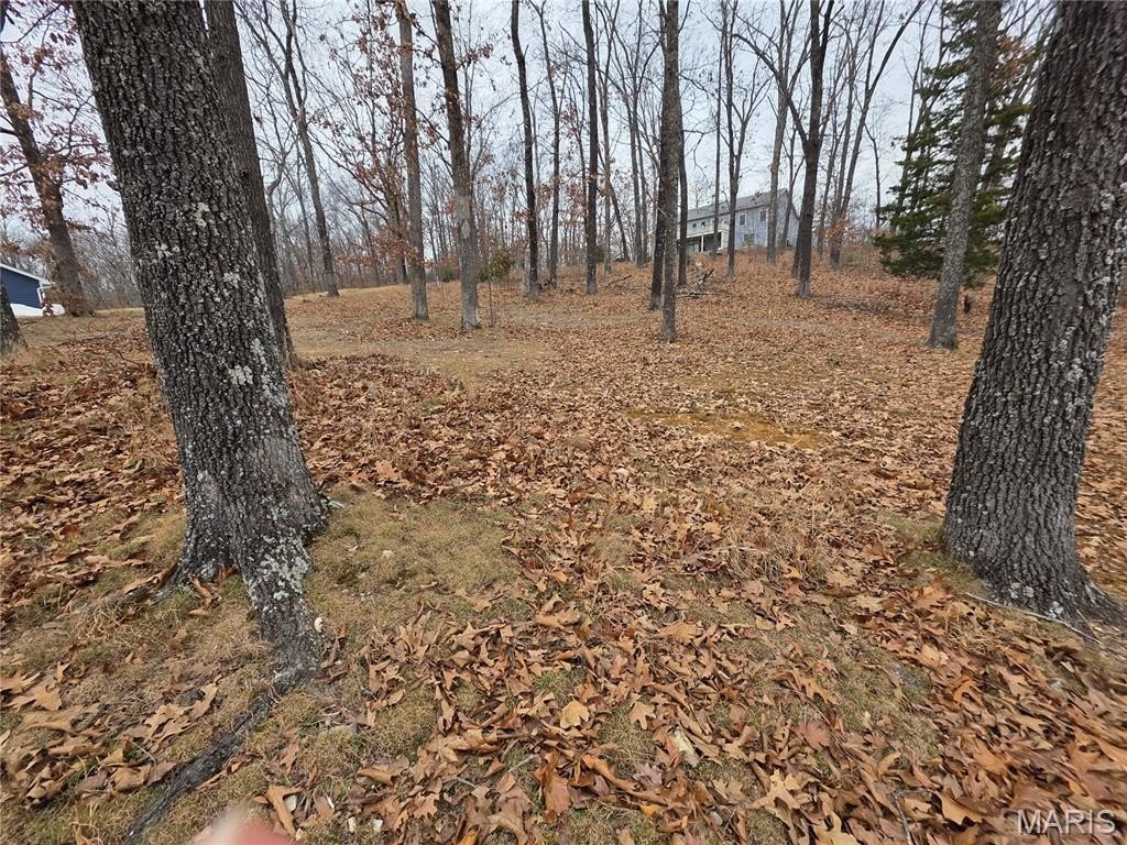 Picture 11