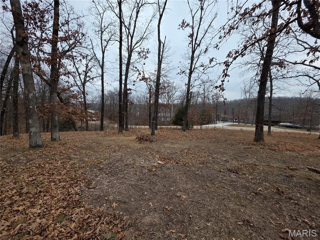 Picture 5