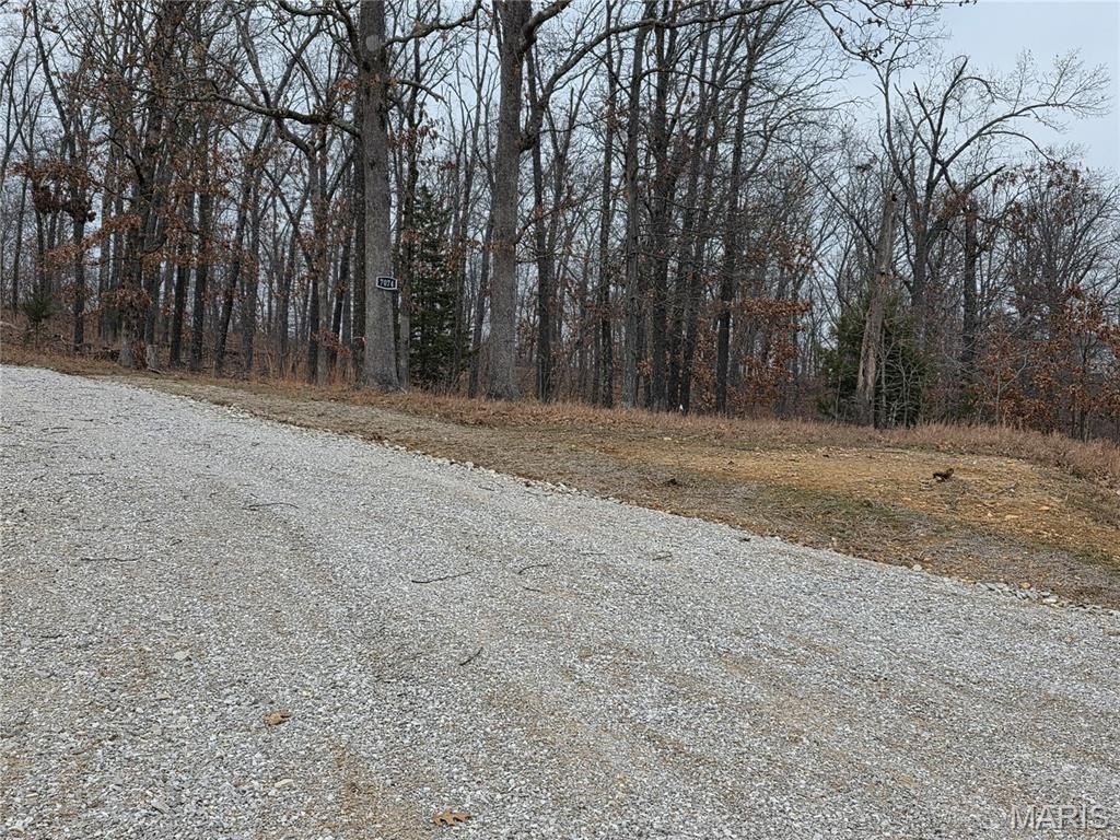 Picture 18