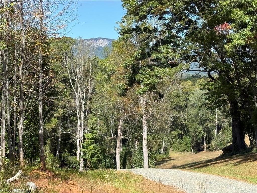 Land with Mountain Views