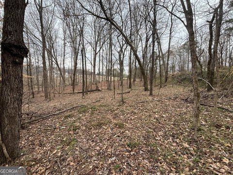 Land, Buckhead, GA