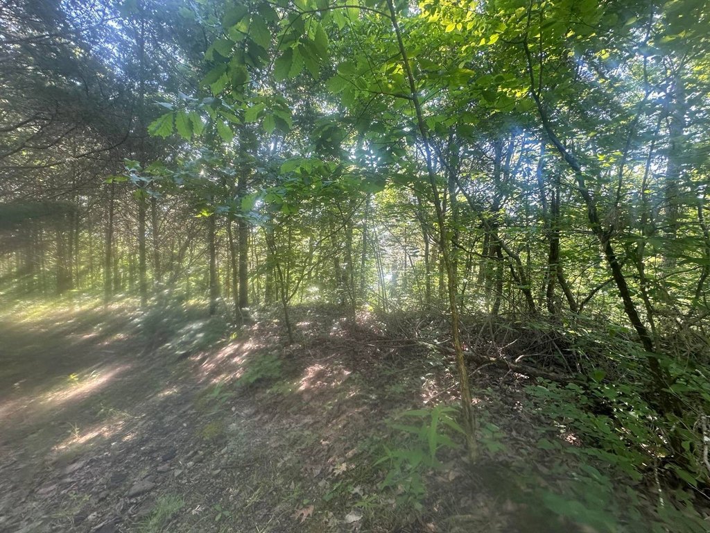 Picture 3