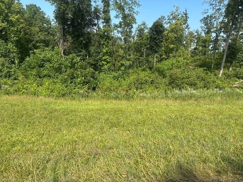 Unrestricted Land Near Dale Hollow Lake