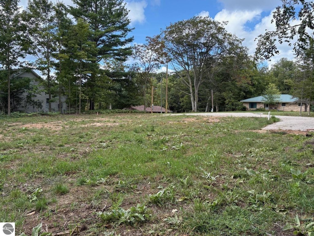 Picture 3