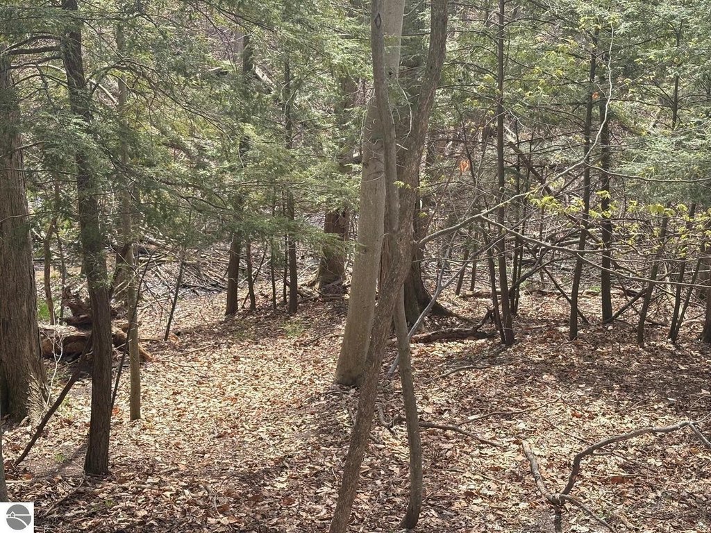 Picture 13
