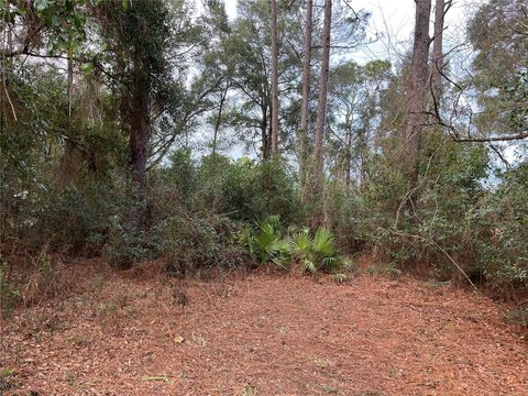 Land, OCALA, FL
