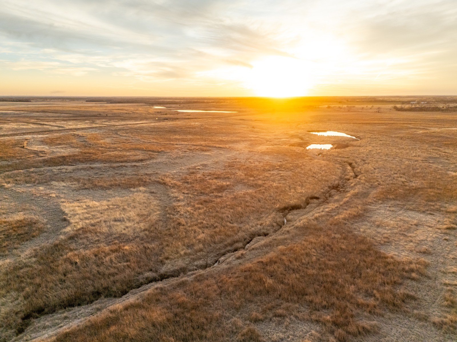 80 Acres of Fenced Land