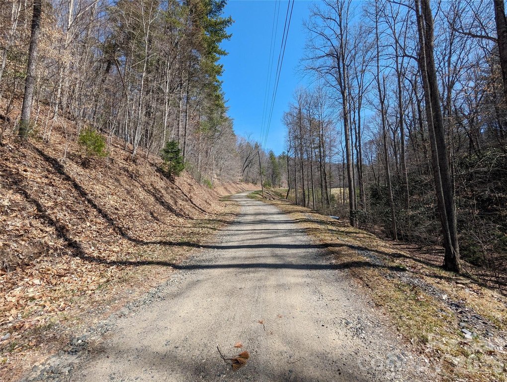Picture 25