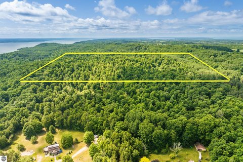 Heavily Wooded Hunting Land