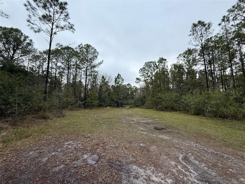 Vacant Corner Lot Near Lake