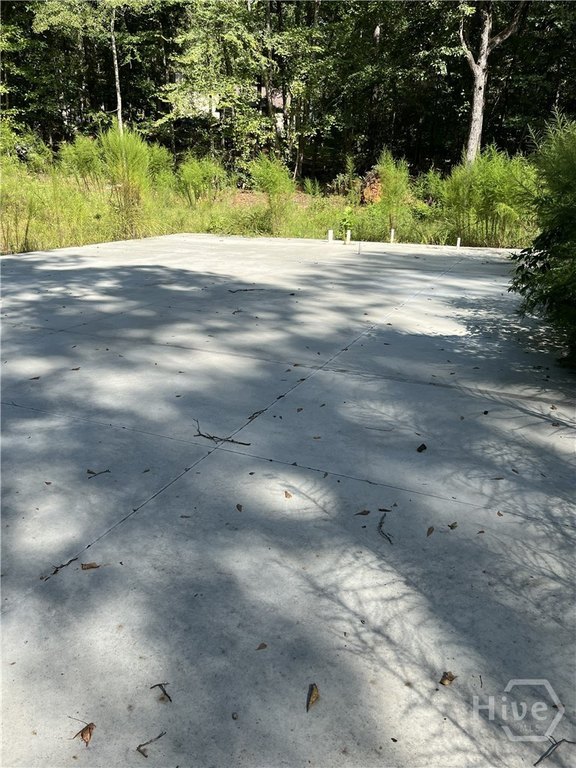 Picture 3