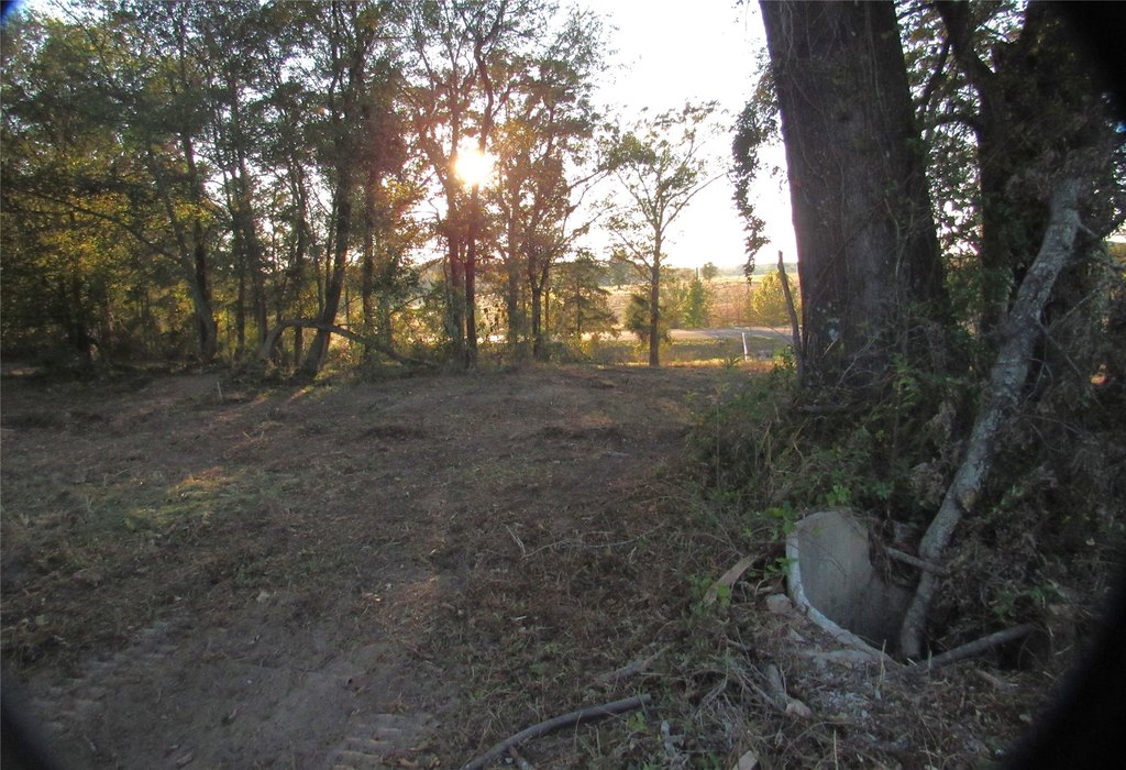 Picture 14