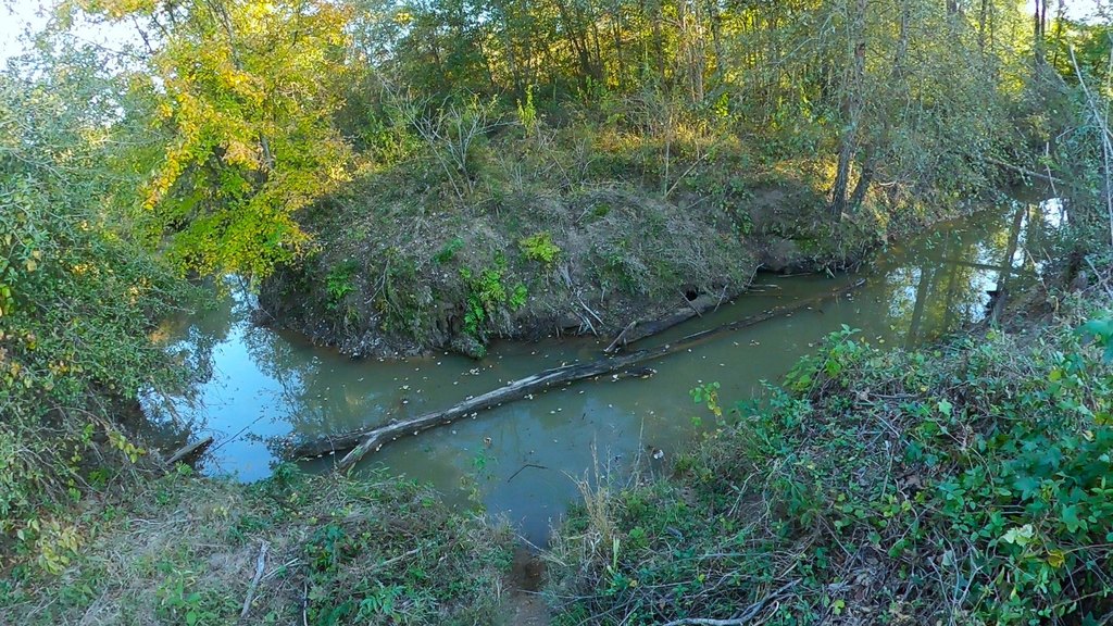 Picture 4