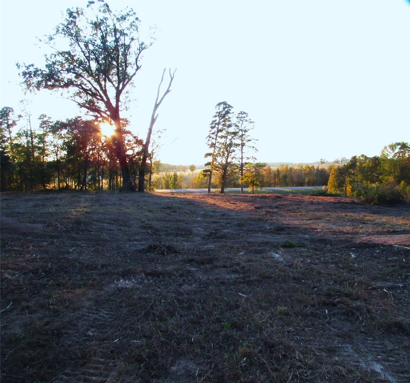 Picture 12