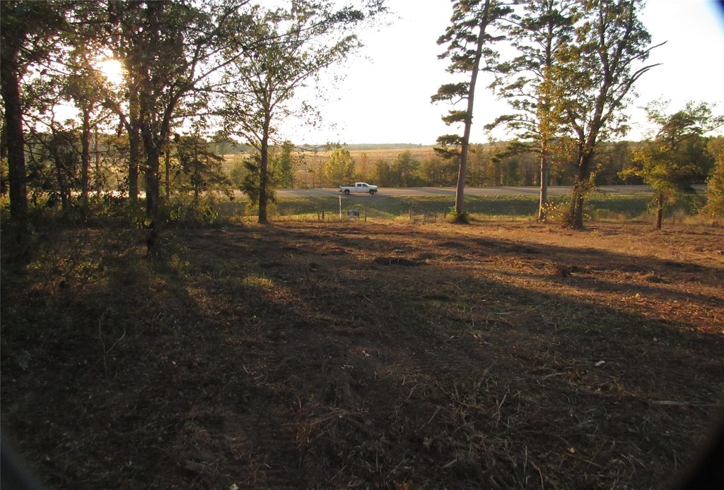 Picture 15