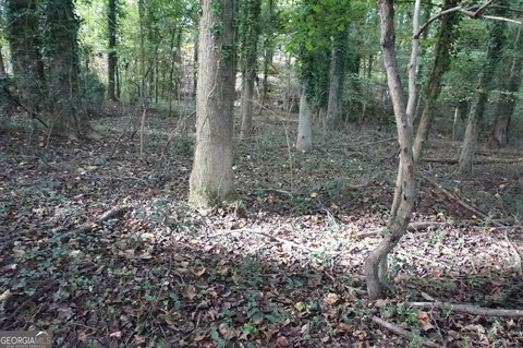 Royston, GA Wooded Residential Lot
