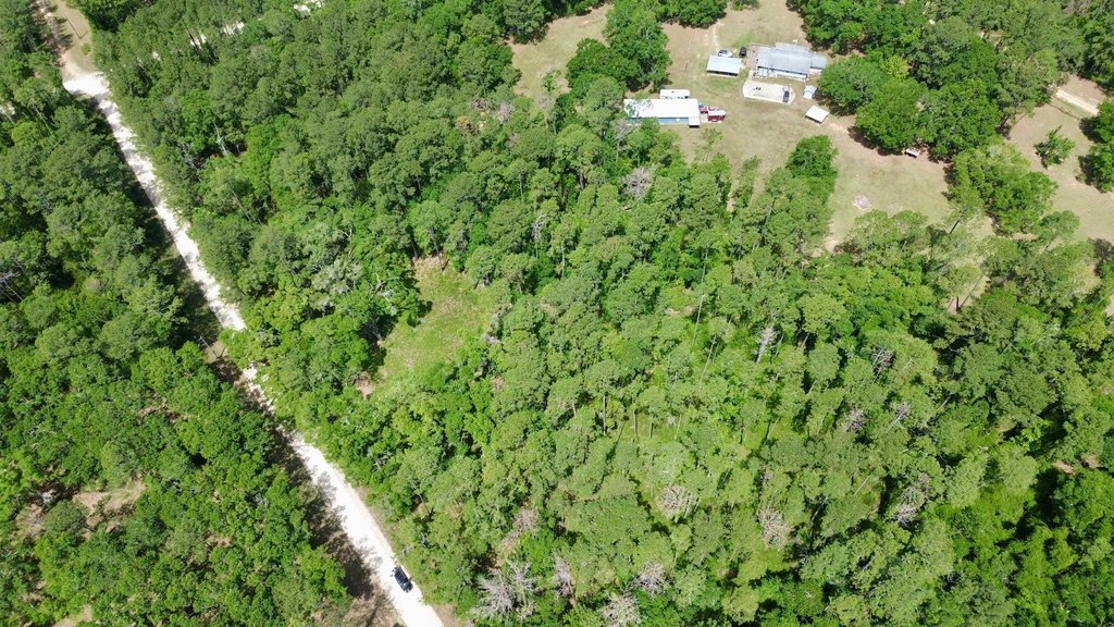 Picture 23