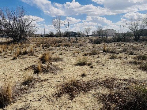 LAND - Shoshoni, WY
