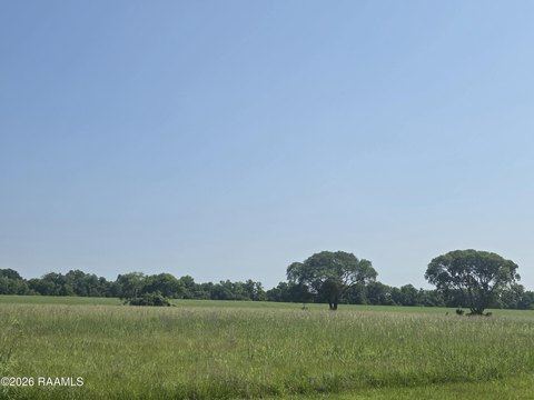 Land, Alexandria, LA