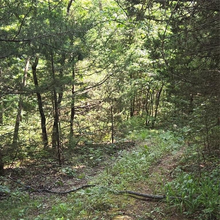 Picture 11