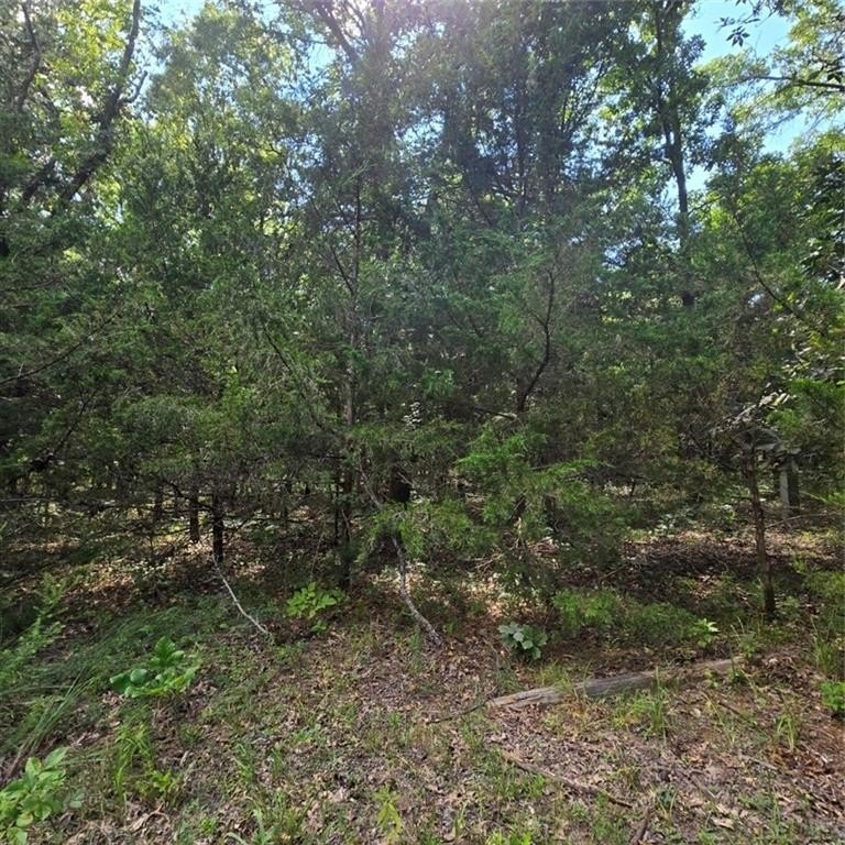 Picture 9