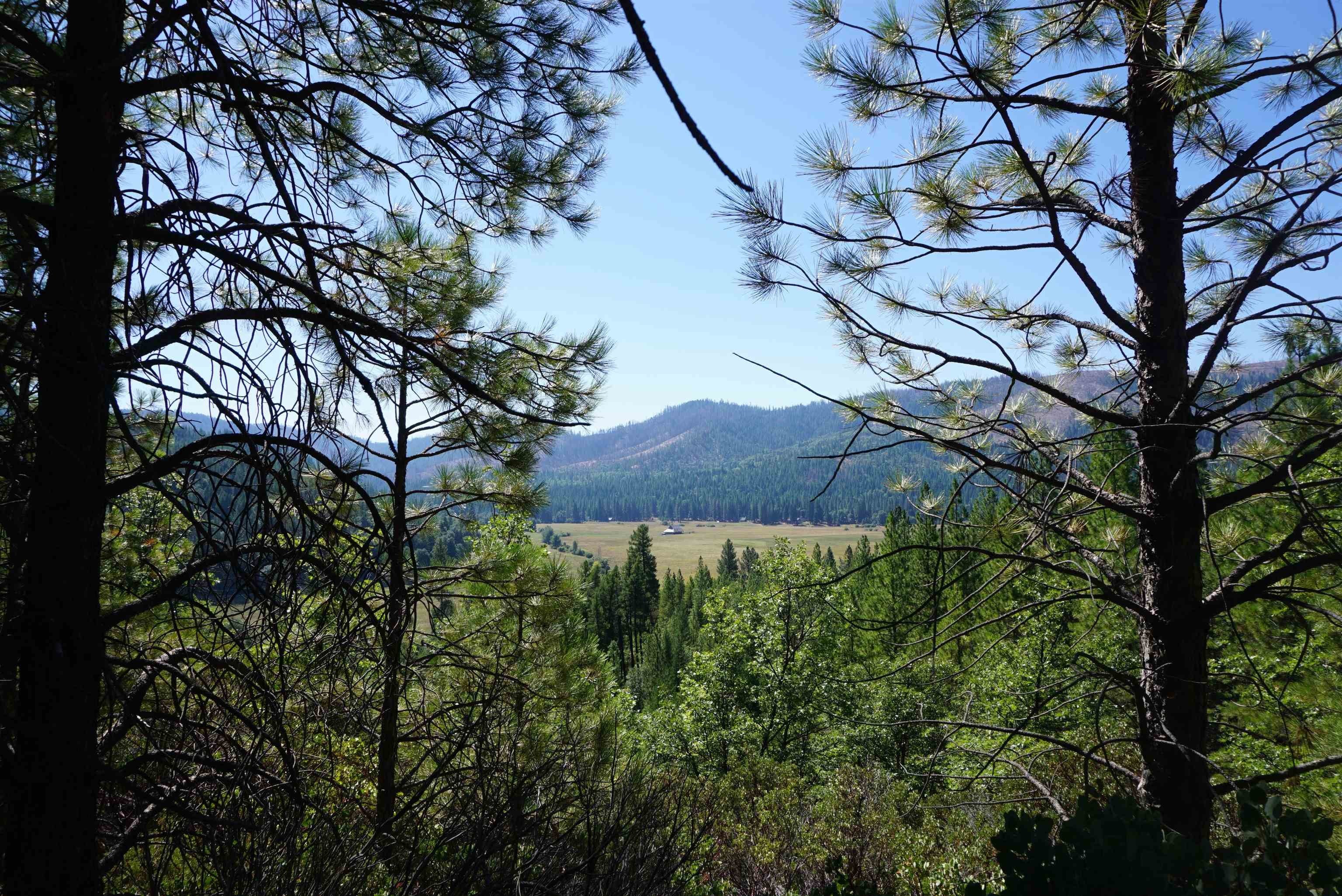 Land Parcel in Quincy, CA