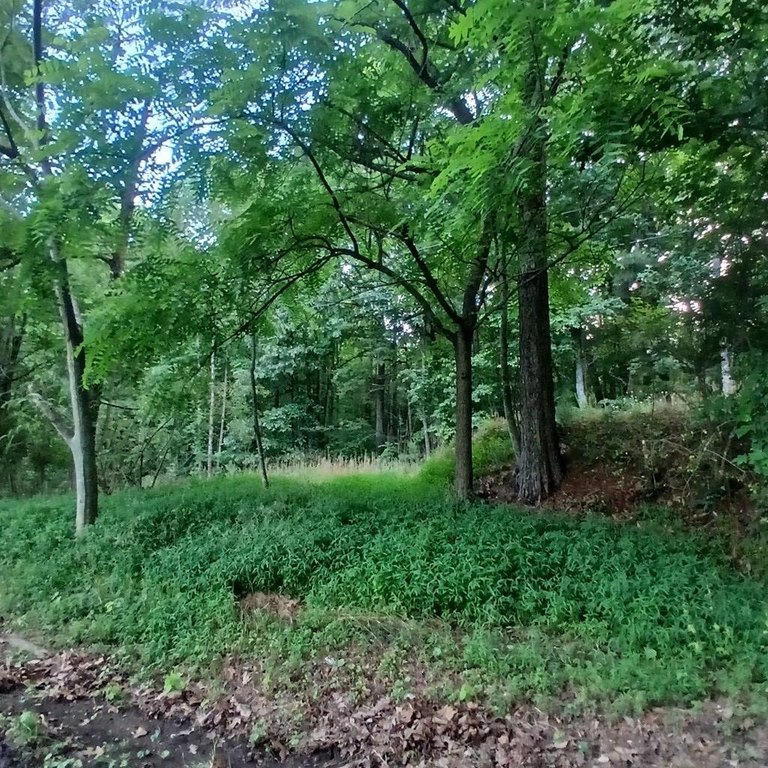 Picture 6