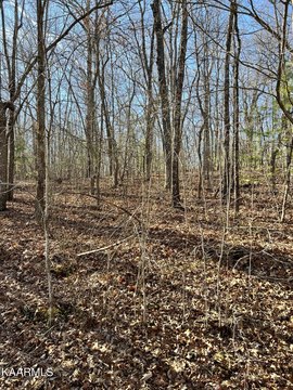 Crossville, TN Wooded Lot
