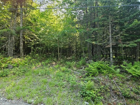 LAND - Brownville, ME