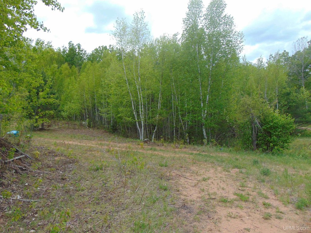 Picture 14
