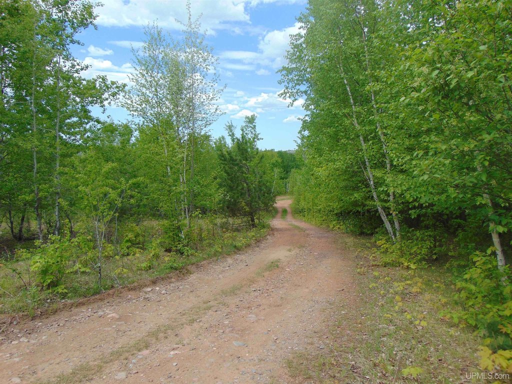 Picture 23