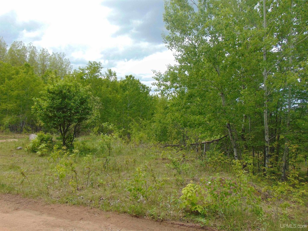Picture 22