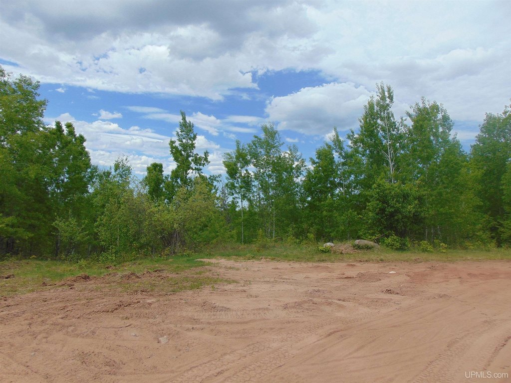 Picture 21