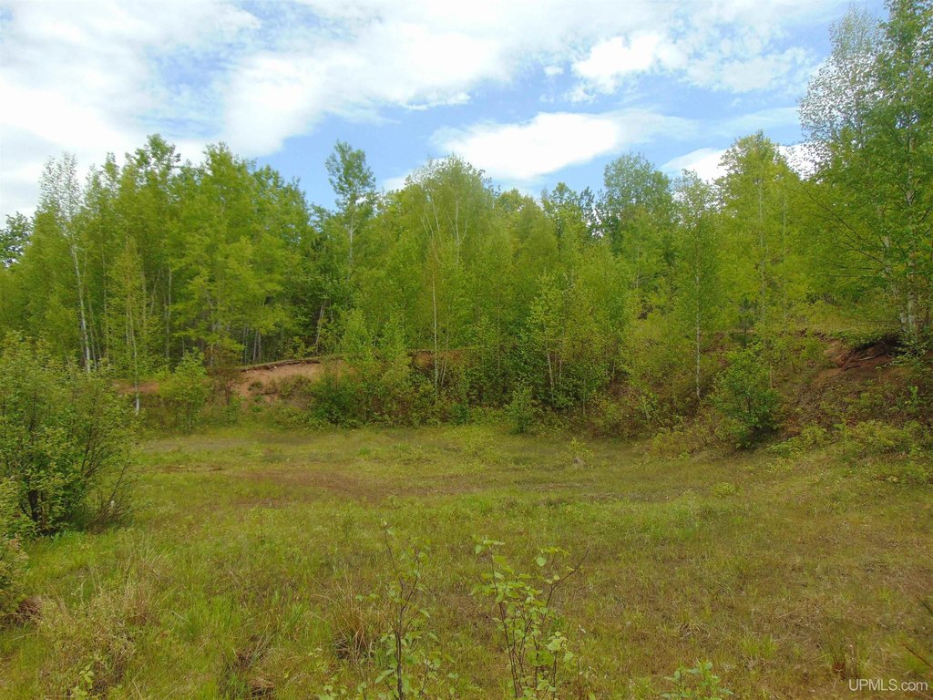 Picture 19