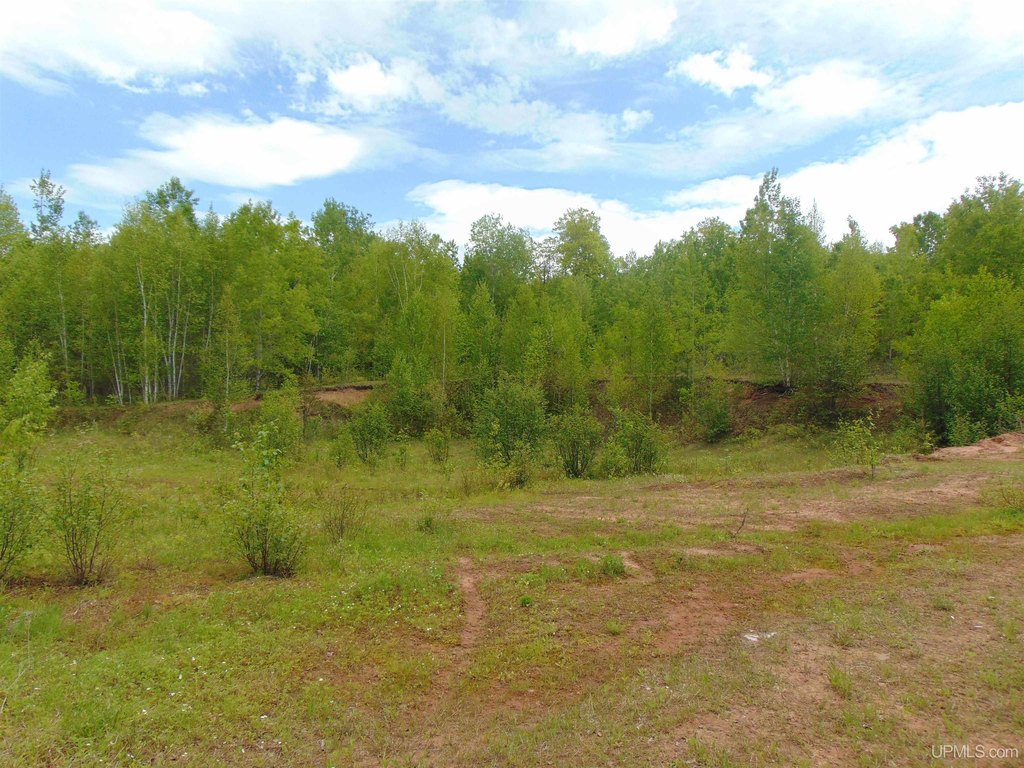 Picture 17