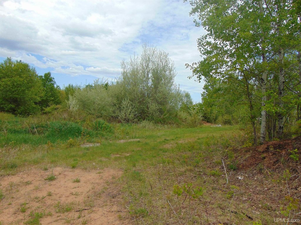 Picture 15