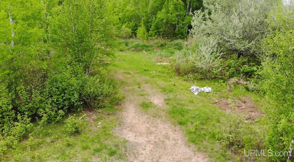 Picture 11