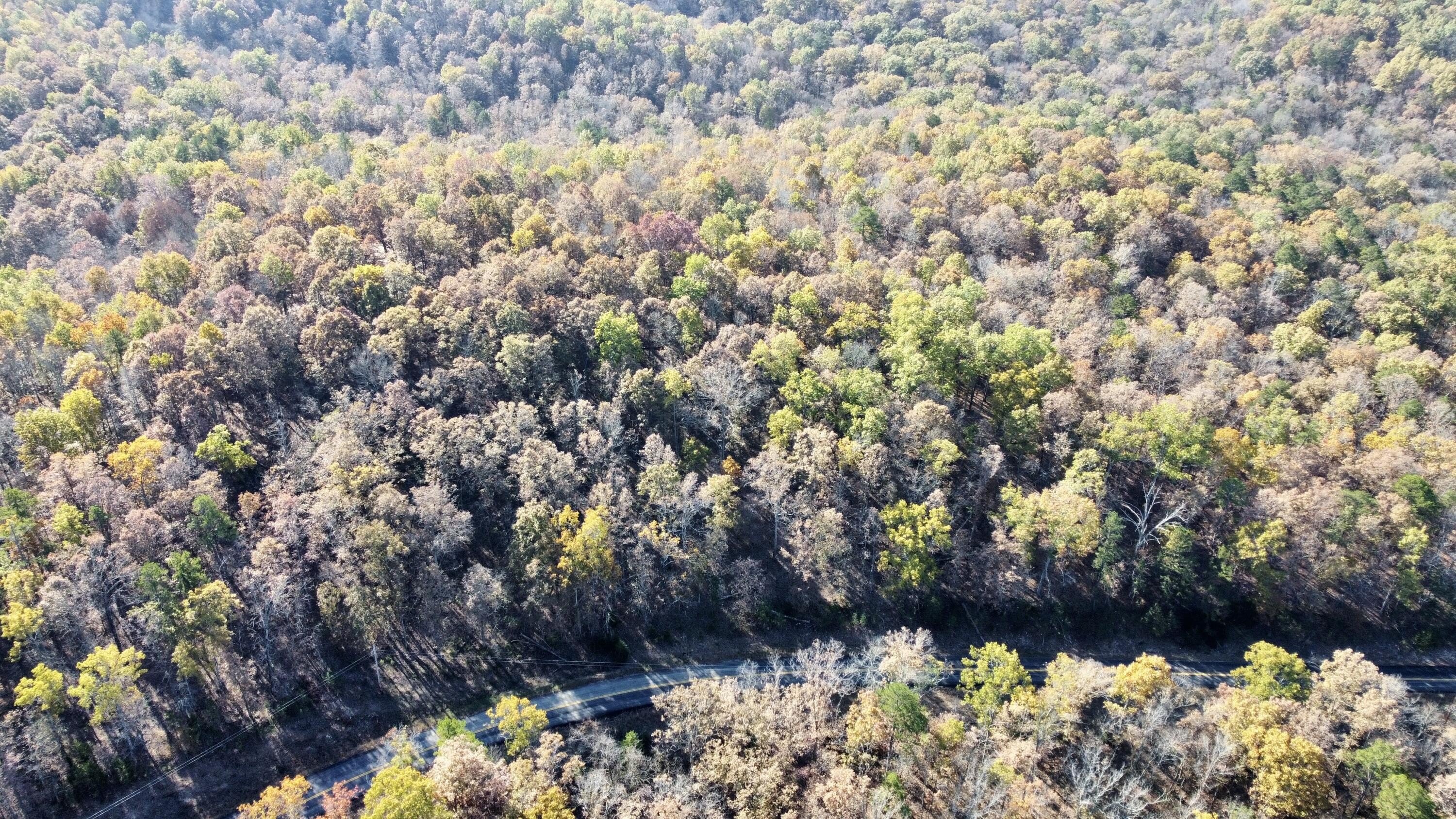 Rare Land Parcel Near Park