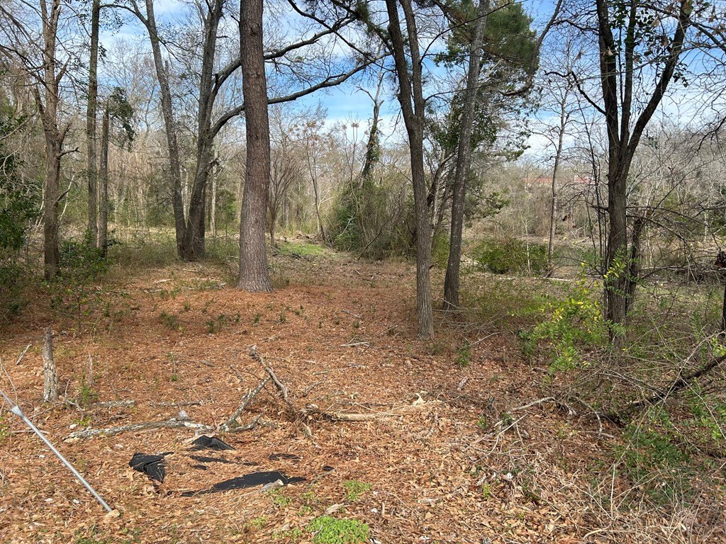 Picture 10