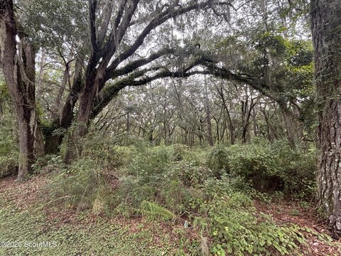 Land, Darien, GA
