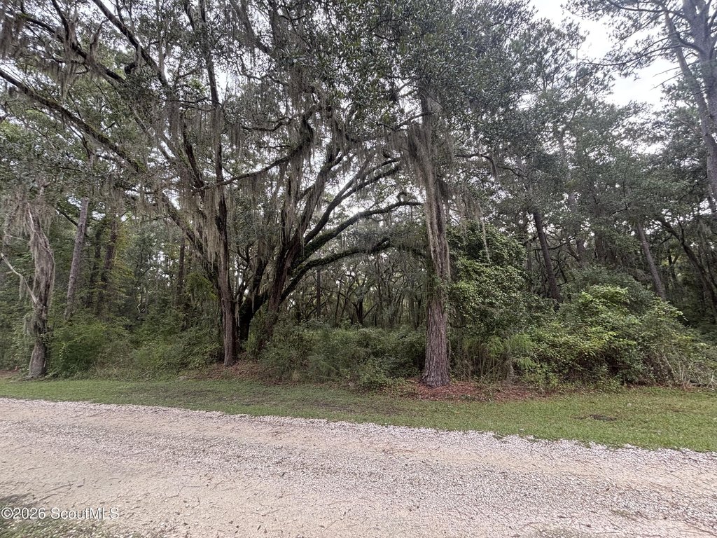 Picture 4