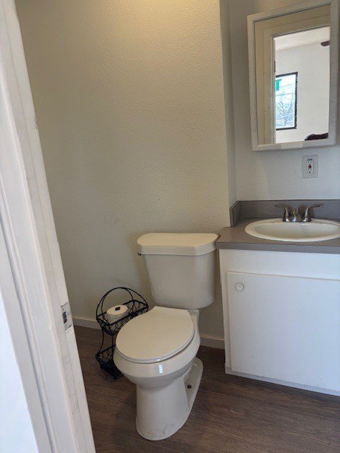 Picture 16