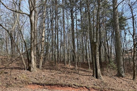 LAND - Ellijay, GA