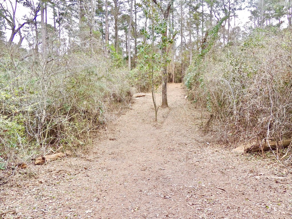 Picture 8