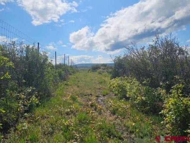 Crawford Land For Sale