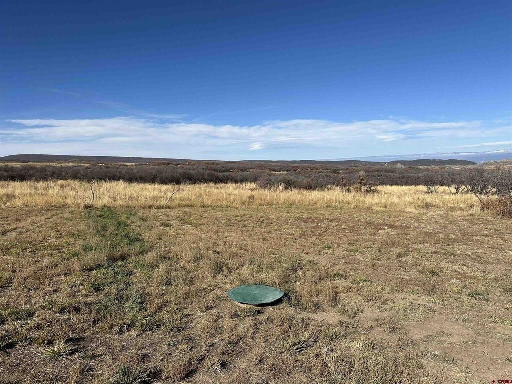 Picture 30