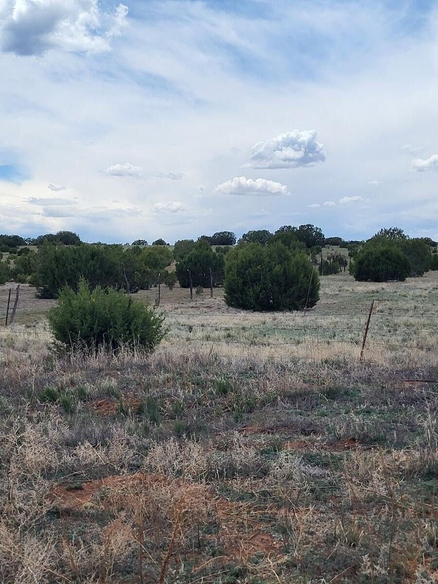 Moriarty Land Opportunity
